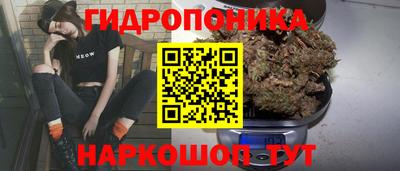 тгк Рязань