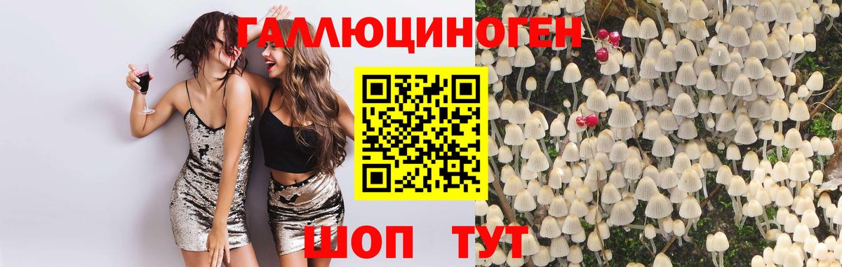 Псилоцибиновые грибы мухоморы Новозыбков