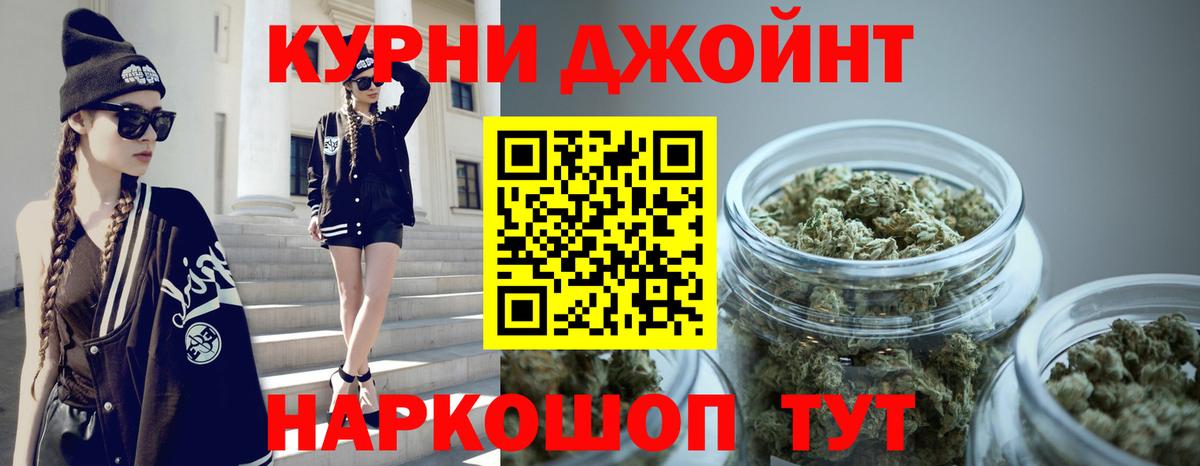 Каннабис планчик Новозыбков